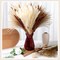 280 Pcs Natural Dried Pampas Grass Decor 17 Inch(Pampas Grass, Reed Grass)